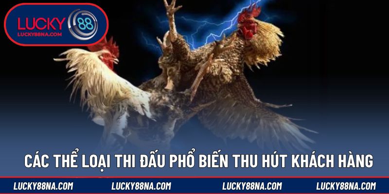 Các thể loại thi đấu phổ biến thu hút khách hàng