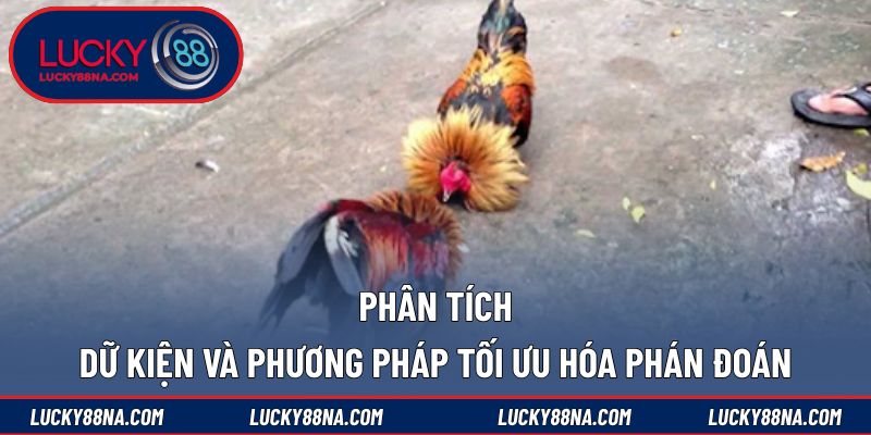 Phân tích dữ kiện và phương pháp tối ưu hóa phán đoán